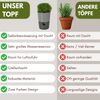 GarPet Kräutertopf 4er Set Kräutertopf Selbstbewässernd Küche Selbstbewässerungstopf 11cm Bild 3