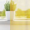vidaXL Voile Vorhänge mit Schlaufen 2 Stk. Gelb 140x140 cm 4102316 Bild 3