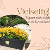 GarPet Balkonkasten 4x Blumenkasten Balkon Geländer Kasten Halterung Wasserspeicher 60 cm Bild 5