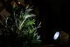 5x LED Solarleuchte Stein grau, Außendeko Bild 5
