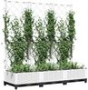 vidaXL Garten-Pflanzgefäß mit Spalier Weiß 120 x 40 x 121,5 cm PP 153283 Bild 3