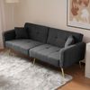 Flieks Schlafsofa mit Bettfunktion, 2-Sitzer Sofa, verstellbare Rückenlehne, goldene Beine, 2 Kissen & Seitentaschen, Teddy Stoff, Grau Bild 4