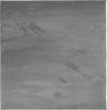 vidaXL Teppich OVIEDO Kurzflor Anthrazit 240x240 cm 375474 Bild 2