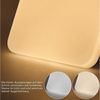 ZMH LED Deckenleuchte Rund – Moderne Deckenlampe für Wohnzimmer Schlafzimmer Flur, CCT, LED fest integriert Bild 3