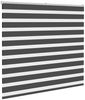vidaXL Doppelrollo Schwarz 160x150 cm Stoffbreite 155,9 cm Polyester 4014247 Bild 3