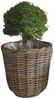 Natur Rattan Pflanzkorb BORKUM Kubu Grey ca. 35cm Pflanztopf Übertopf Korb Bild 5