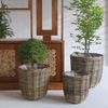 Natur Rattan Pflanzkorb BORKUM Kubu Grey ca. 35cm Pflanztopf Übertopf Korb Bild 2