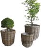 Natur Rattan Pflanzkorb BORKUM Kubu Grey ca. 35cm Pflanztopf Übertopf Korb Bild 4