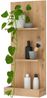 Badezimmer-Set >Coco< (3-teilig) in Asteiche Dekor / pine green - 119x200x38 (BxHxT) Bild 5
