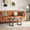 vidaXL Couchtischbeine U-Form 2 Stk. Naturstahl 50x(42-43) cm Stahl 4013159 Bild 2