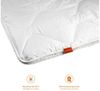 sleepling Microfaserbettdecke Basic 100, Füllung: 100% Polyester, für Allergiker geeignet, hergestellt in der EU Bild 2
