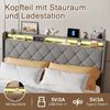 ADWOLT Stauraumbett Polsterbett mit Lattenrost und LED-Beleuchtung, Jugendbett 160x200 cm mit USB&Type-C,Doppelbett mit 4 Schubladen,Grau Bild 2