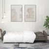 vidaXL Schlafsofa 2-Sitzer mit 2 Kissen Dunkelgrau Samt 375817 Bild 3