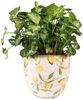 Clayre & Eef Blumentopf Clayre & Eef Blumentopf „Zitrone“ – Gelb, Rund, 18x17 cm, Keramik Bild 2