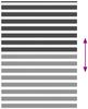 vidaXL Doppelrollo Schwarz 160x200 cm Stoffbreite 155,9 cm Polyester 4014273 Bild 5