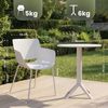 CLP Gartenmöbel-Set Siora mit 2 Bistrostühlen und rundem Esstisch 60 cm,weiß Bild 2