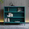 Jan Nowak Niedriges Bücherregal Metall - Luca | 2 Verstellbare Ablagen, Industrial Style | Standregal für Wohnzimmer, Schlafzimmer, Kleines Regal, Buchregal Glitzernd | 100 x 90 x 35 cm | Marine Bild 2