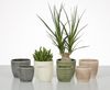 Scheurich Corteza, Blumentopf aus Keramik,, Farbe: Pimienta, 21,5 cm Durchmesser, 19,3 cm hoch, 4,944 l Vol. Bild 4