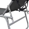 vidaXL Klappliege mit Sonnendach Grau Aluminium 47772 Bild 5