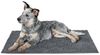 Hunter Tierbedarf Tierdecke Schmutzfang-Hundematte Waterloo grau Bild 2