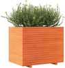 vidaXL Pflanzkübel Wachsbraun 90x60x72,5 cm Massivholz Kiefer 3282606 Bild 4