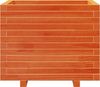 vidaXL Pflanzkübel Wachsbraun 60x60x49,5 cm Massivholz Kiefer 847360 Bild 5