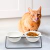 LuxusKollektion erhöhter Katzennapf spülmaschinengeeignet, Keramik weiß Bild 2