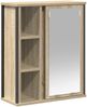 vidaXL Bad-Wandschrank mit Spiegel Sonoma-Eiche 50x21x60 cm 861903 Bild 2