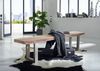 Baumbank Akazie 155x38x45 Natural Stone lackiert FREEFORM #132 Bild 5