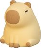 Nachtlicht PIGGY dimmbar, per USB aufladbar, mit Farbwechsel & Timer Höhe 12cm Bild 2