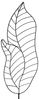 Rankgitter Rankblatt groß ca. 166 cm - Gartendekoration Bild 2