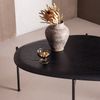 Couchtisch Kota - MDF & Holzfurnier Schwarz Bild 2