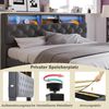 Ulife Polsterbett Doppelbett mit LED-Beleuchtung (Packung, 1 Bett) Bild 3