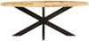 vidaXL Esstisch Oval 200x100x75 cm Raues Mangoholz 321675 Bild 2