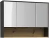 Vente-unique Badezimmer Spiegelschrank YANGRA Holz, Anthrazit, 25x75x100 cm Bild 2