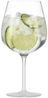 Eisch SECCO FLAVOURED Gin & Tonic 2er Set Bild 2