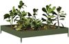 vidaXL Hochbeet Olivgrün 100x100x18,5 cm Stahl 851013 Bild 3