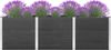 vidaXL Hochbeet Grau 300x50x91 cm WPC 318100 Bild 3