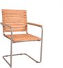 Garden Pleasure 2er Set Freischwinger DENVER Gartenstuhl Esszimmer Stuhl Stühle Bild 2
