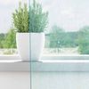 vidaXL Voile Vorhänge mit Schlaufen 2 Stk. Türkis 140x260 cm 4102330 Bild 3