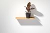 Wandregal Eiche 02 S 50 × 15 × 2 cm Bild 2
