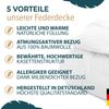 KNERST Federbettdecke Decke mit weichen Daunen & Federn, Füllung: 90% Federn und 10% Daunen, Baumwollbezug, gleichmäßige Wärmeverteilung, Kassetten Federbett Bild 3