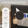 LVHOM Polsterbett mit USB-Anschluss und LED-Beleuchtung, Nadelstreifen Bettgestell, Polsterbett/Doppelbett/Stauraumbett/Boxbett, Weicher, hautfreundlicher Samtstoff, Integriertes Hydrauliksystem, 180 x 200 cm Bild 4