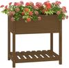 vidaXL Pflanzkübel mit Ablage Honigbraun 82,5x54x81 cm Kiefernholz 823783 Bild 4