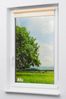 Lysel Outlet - Mini Rollo Tageslicht Vanille (B x H) 103cm x 175cm Bild 5