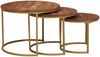 vidaXL Nesting-Couchtische 3 pcs Honigbraun Massivholz Mango und Stahl 4104637 Bild 4