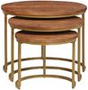 vidaXL Nesting-Couchtische 3 pcs Honigbraun Massivholz Mango und Stahl 4104637 Bild 5