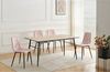 HTI-Living Esszimmerstuhl Stuhl Mesa Eco 2er-Set Velvet Rosa (Set, 2 St), Esszimmerstuhl Samt Bild 3