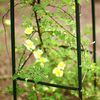 Relaxdays 6x Garten Rankturm Metall ca 190cm spitz Bild 4