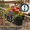 _ProductVariantImage_1bilg_102
